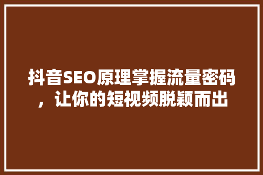 抖音SEO原理掌握流量密码，让你的短视频脱颖而出  第1张