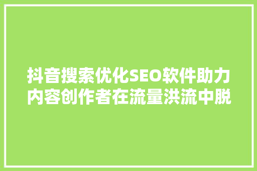 抖音搜索优化SEO软件助力内容创作者在流量洪流中脱颖而出