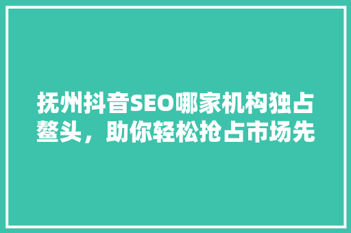 抚州抖音SEO哪家机构独占鳌头，助你轻松抢占市场先机