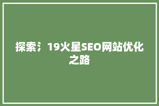 探索氵19火星SEO网站优化之路