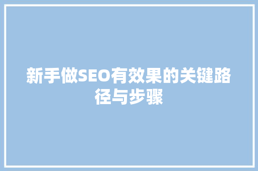 新手做SEO有效果的关键路径与步骤