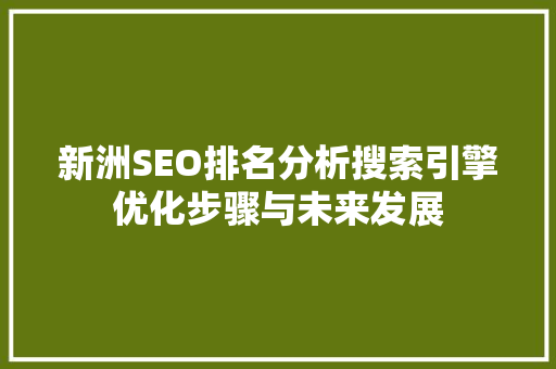 新洲SEO排名分析搜索引擎优化步骤与未来发展