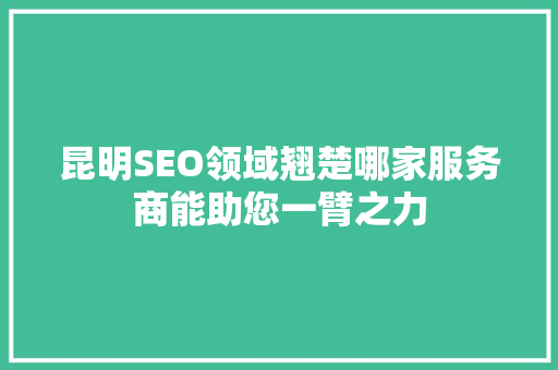 昆明SEO领域翘楚哪家服务商能助您一臂之力