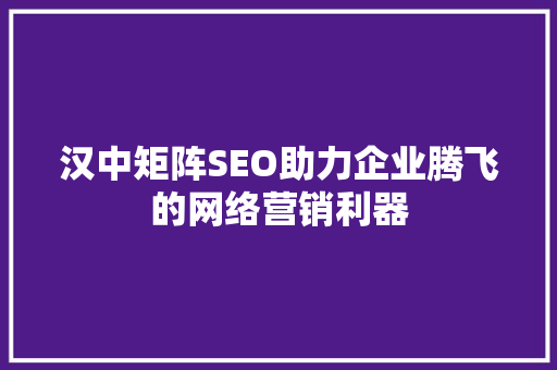 汉中矩阵SEO助力企业腾飞的网络营销利器