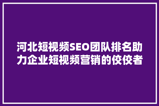 河北短视频SEO团队排名助力企业短视频营销的佼佼者