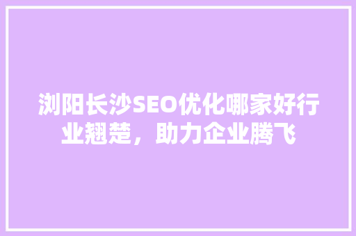 浏阳长沙SEO优化哪家好行业翘楚，助力企业腾飞