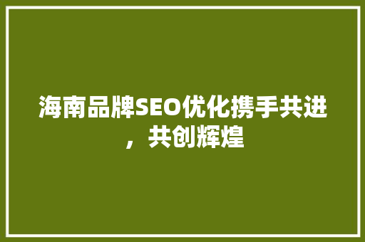 海南品牌SEO优化携手共进，共创辉煌