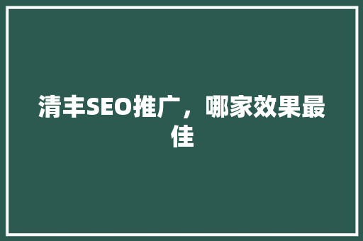 清丰SEO推广，哪家效果最佳