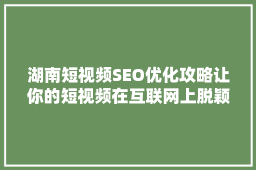 湖南短视频SEO优化攻略让你的短视频在互联网上脱颖而出