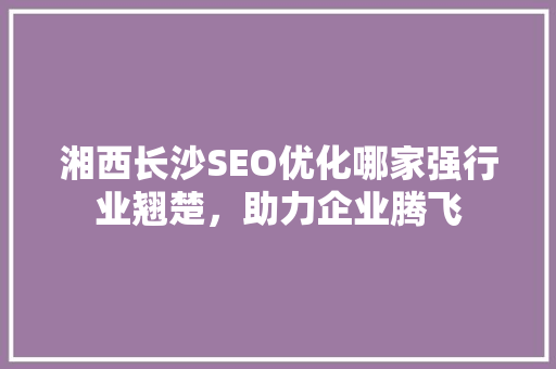 湘西长沙SEO优化哪家强行业翘楚，助力企业腾飞