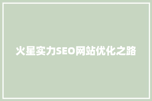 火星实力SEO网站优化之路