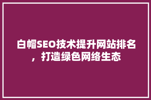 白帽SEO技术提升网站排名，打造绿色网络生态