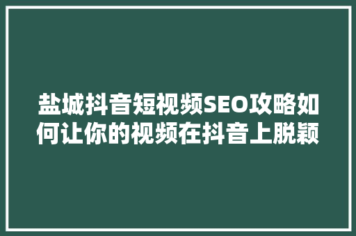 盐城抖音短视频SEO攻略如何让你的视频在抖音上脱颖而出