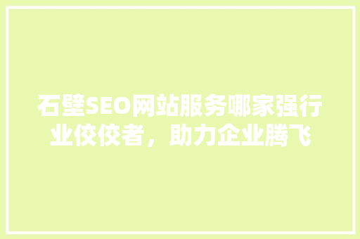 石壁SEO网站服务哪家强行业佼佼者，助力企业腾飞
