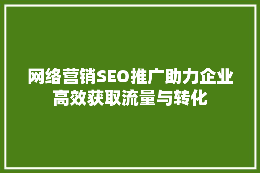 网络营销SEO推广助力企业高效获取流量与转化
