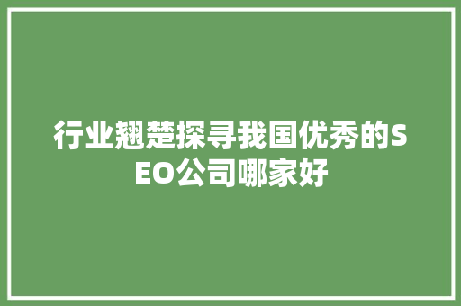 行业翘楚探寻我国优秀的SEO公司哪家好