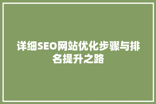 详细SEO网站优化步骤与排名提升之路