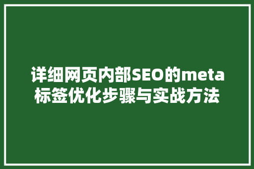详细网页内部SEO的meta标签优化步骤与实战方法  第1张