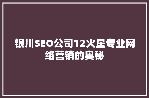 银川SEO公司12火星专业网络营销的奥秘