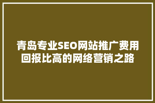 青岛专业SEO网站推广费用回报比高的网络营销之路