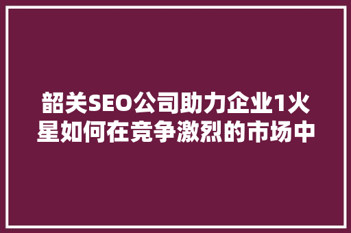 韶关SEO公司助力企业1火星如何在竞争激烈的市场中脱颖而出