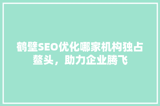 鹤壁SEO优化哪家机构独占鳌头，助力企业腾飞