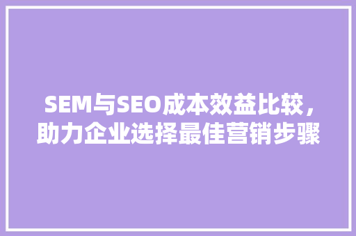 SEM与SEO成本效益比较，助力企业选择最佳营销步骤