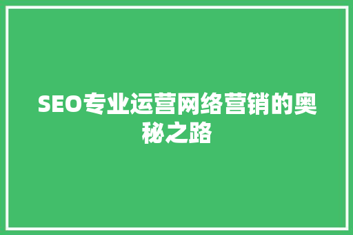 SEO专业运营网络营销的奥秘之路