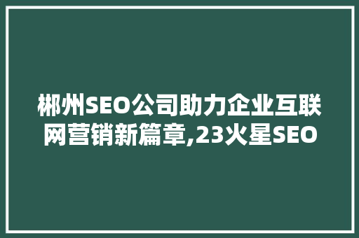 郴州SEO公司助力企业互联网营销新篇章,23火星SEO步骤
