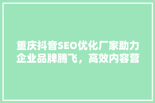 重庆抖音SEO优化厂家助力企业品牌腾飞，高效内容营销方法