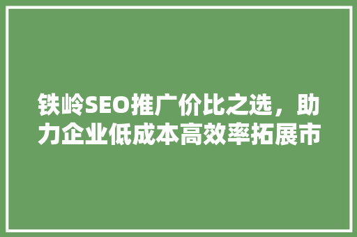 铁岭SEO推广价比之选，助力企业低成本高效率拓展市场