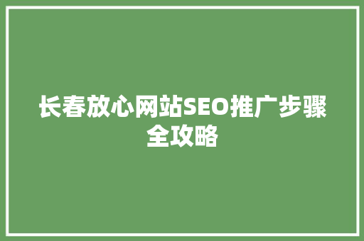 长春放心网站SEO推广步骤全攻略