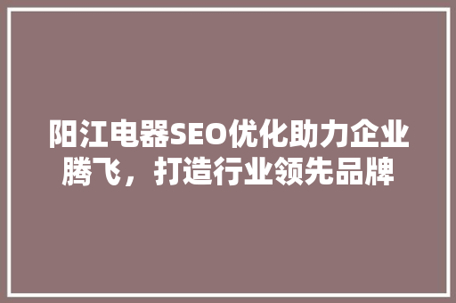 阳江电器SEO优化助力企业腾飞，打造行业领先品牌