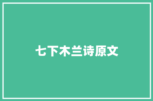 公告机构代码探寻信息披露与监管的桥梁