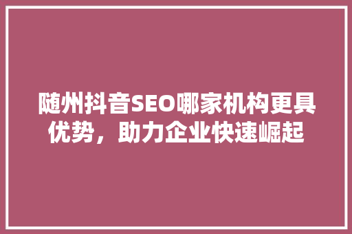 随州抖音SEO哪家机构更具优势，助力企业快速崛起