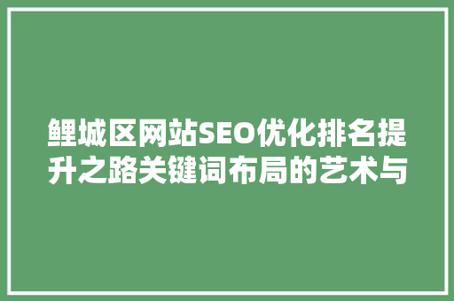 鲤城区网站SEO优化排名提升之路关键词布局的艺术与方法