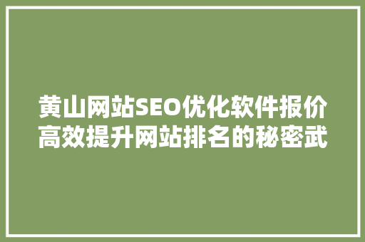 黄山网站SEO优化软件报价高效提升网站排名的秘密武器