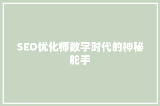 SEO优化师数字时代的神秘舵手