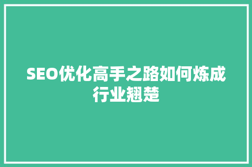 SEO优化高手之路如何炼成行业翘楚