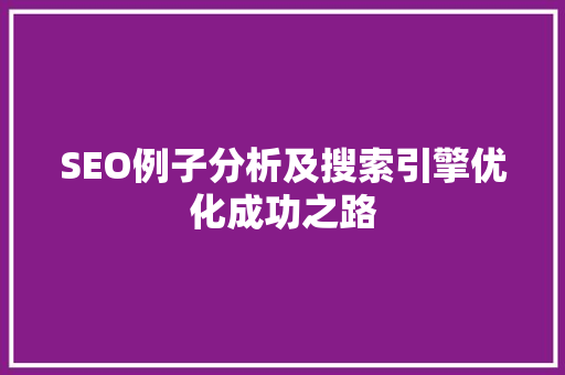 SEO例子分析及搜索引擎优化成功之路