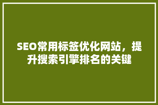 SEO常用标签优化网站，提升搜索引擎排名的关键