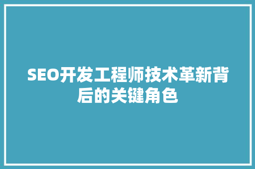 SEO开发工程师技术革新背后的关键角色