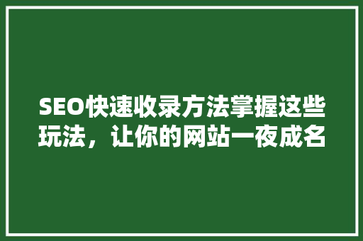 SEO快速收录方法掌握这些玩法，让你的网站一夜成名  第1张