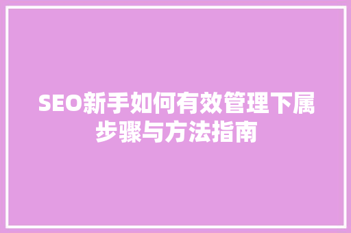 SEO新手如何有效管理下属步骤与方法指南