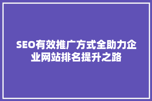 SEO有效推广方式全助力企业网站排名提升之路