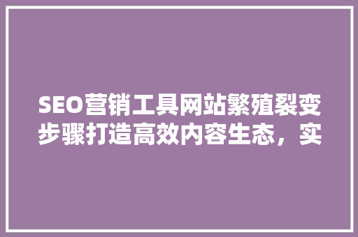 SEO营销工具网站繁殖裂变步骤打造高效内容生态，实现流量倍增