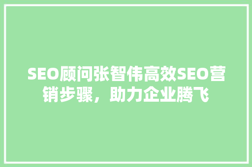SEO顾问张智伟高效SEO营销步骤，助力企业腾飞  第1张