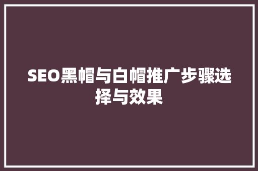 SEO黑帽与白帽推广步骤选择与效果