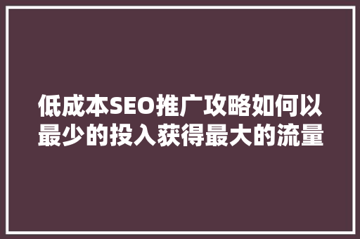 低成本SEO推广攻略如何以最少的投入获得最大的流量