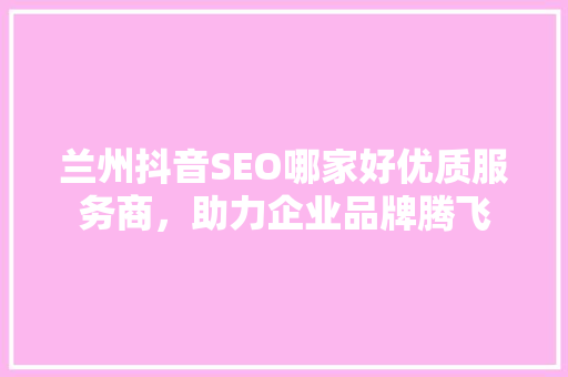 兰州抖音SEO哪家好优质服务商，助力企业品牌腾飞